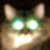 Spooky_cat_thumb