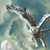 Dh__flight_of_hedwig_by_clouded_ambition_thumb