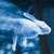 Rabbit_patronus_thumb