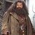 Hagrid3_thumb
