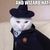 Lolcat06_thumb