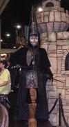 Thumb_fans_conferences_comiccon06_08