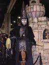 Thumb_fans_conferences_comiccon06_09