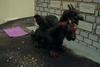 Thumb_fans_conferences_sonorus07_06