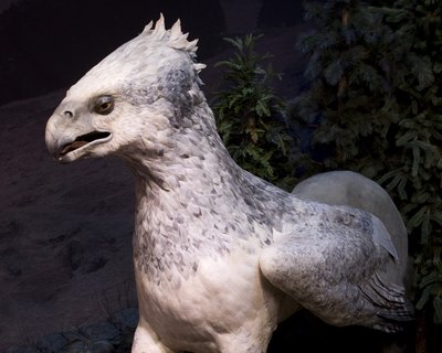 Normal_fans_events_hpexhibit_046