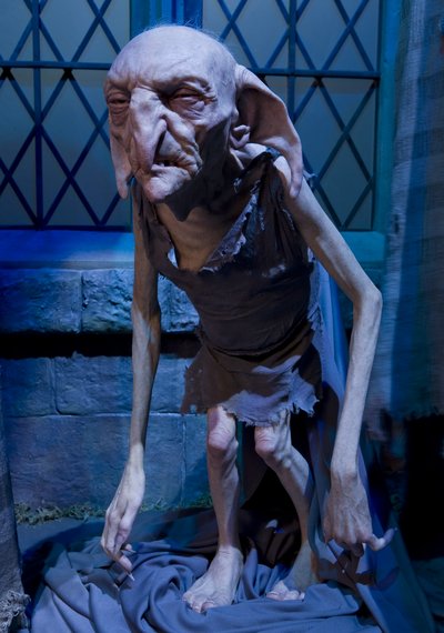 Normal_fans_events_hpexhibit_047