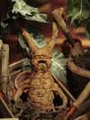Thumb_fans_events_hpexhibit_011