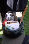 Thumb_fans_events_weekendathogwarts08_21