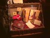Thumb_hpexhibit_boston_lewis_001
