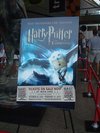 Thumb_fans_events_hpexhibitboston_04