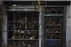 Thumb_fans_studiotour_borisjohnson_0003