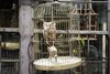 Thumb_fans_studiotour_borisjohnson_0005