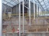 Thumb_fans_harrypotterthemepark_construction_559