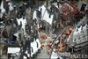 Thumb_fans_harrypotterthemepark_construction_699