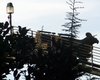 Thumb_fans_harrypotterthemepark_construction_830