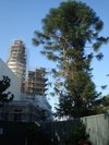 Thumb_fans_harrypotterthemepark_construction_154