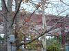 Thumb_fans_hptp_cshots_feb_014