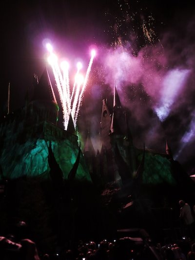 Normal_wwohp_opening_celebritypreview_094