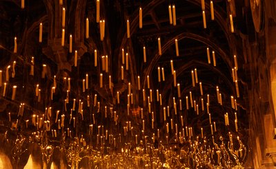 Normal_fans_wwohp_highres_043