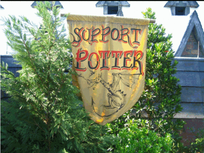 Normal_fans_universalorlando_firstlook_2010may_072