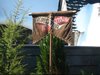Thumb_fans_universalorlando_firstlook_2010may_034