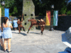 Thumb_fans_universalorlando_firstlook_2010may_065
