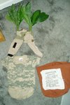 Thumb_tlc_contests_costumecontest08_17