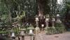 Thumb_tlc_contests_magicalplaces_02