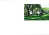 Thumb_tlc_contests_magicalplaces_05