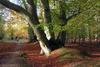 Thumb_tlc_contests_magicalplaces_09
