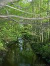 Thumb_tlc_contests_magicalplaces_21