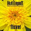 Thumb_tlc_pottercast_avatarsaug07_34