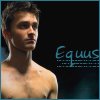 Thumb_tlc_icontest_equus_02