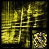 Thumb_hufflepuff-01
