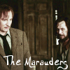 Thumb_avatars_movie_poa_october08_003