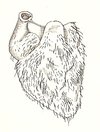Thumb_books_beedle_sketches_03