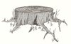 Thumb_books_beedle_sketches_07
