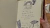 Thumb_books_beedle_copyarthurlevine_09