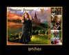 Thumb_books_misc_salvati_010