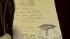 Thumb_books_beedle_installationnyc_12
