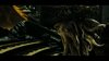 Thumb_nighy_films_potcatworldsend_002