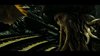 Thumb_nighy_films_potcatworldsend_003