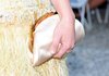 Thumb_poesy_appearances_chanel_croisiereshow_007