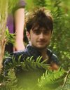 Thumb_radcliffe_films_horns_set_0006
