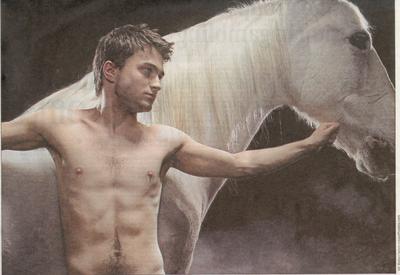 Normal_equus_daniel_horse