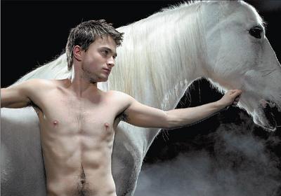 Normal_equus_daniel_horse2