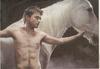 Thumb_equus_daniel_horse