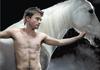 Thumb_equus_daniel_horse2