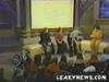 Thumb_radcliffe_tv_oprah_part4_010