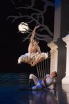 Thumb_piper_theatre_swanlake_01